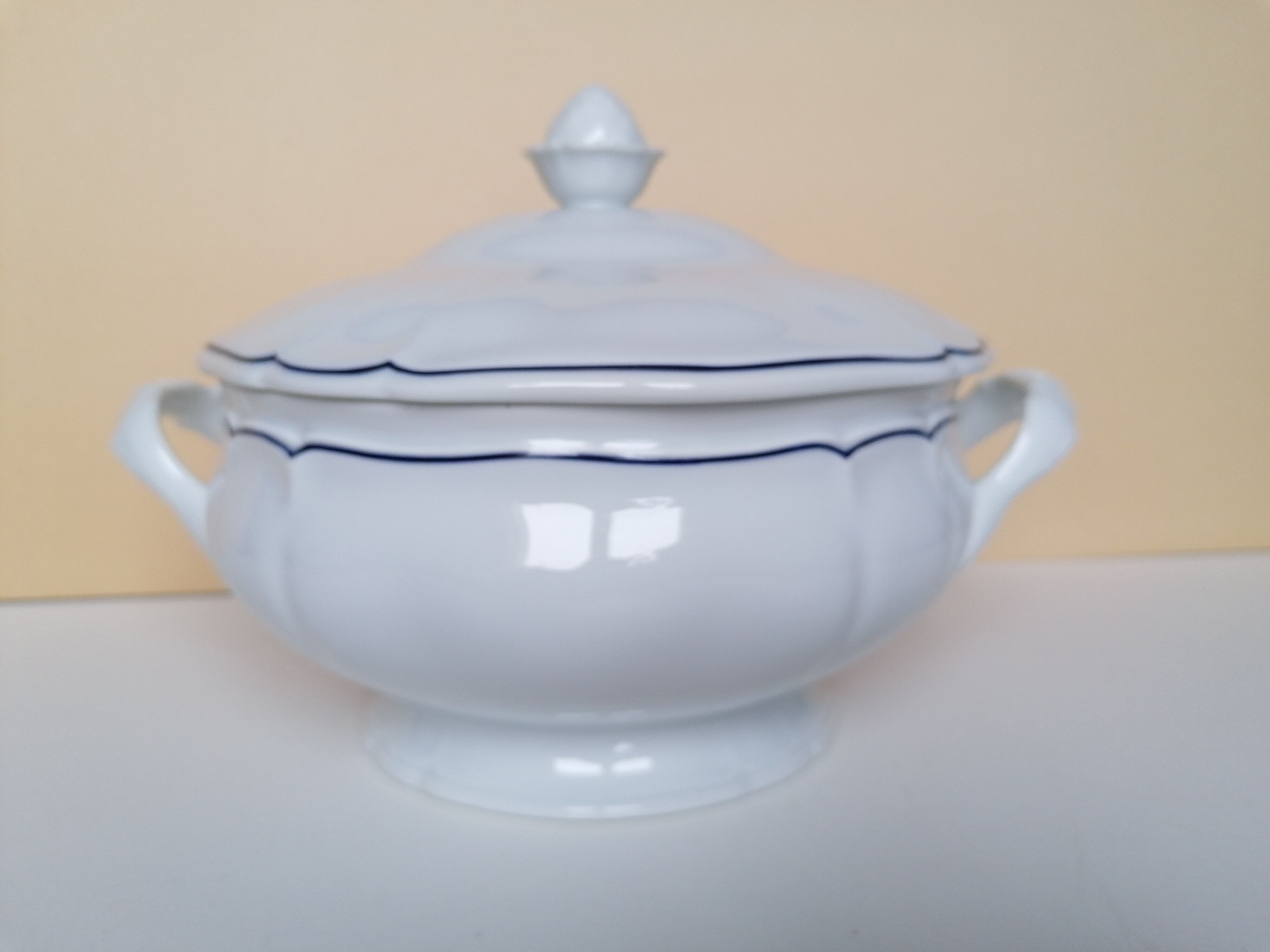 Soup limoges porcelain old great fire