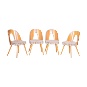 Four Antonín Šuman dining chairs - 1950s Czechia