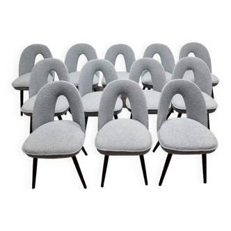 Dining Chairs by Antonin Suman, 1960s, Set of 12