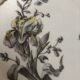 4 flat plates - Limoges porcelain, nature