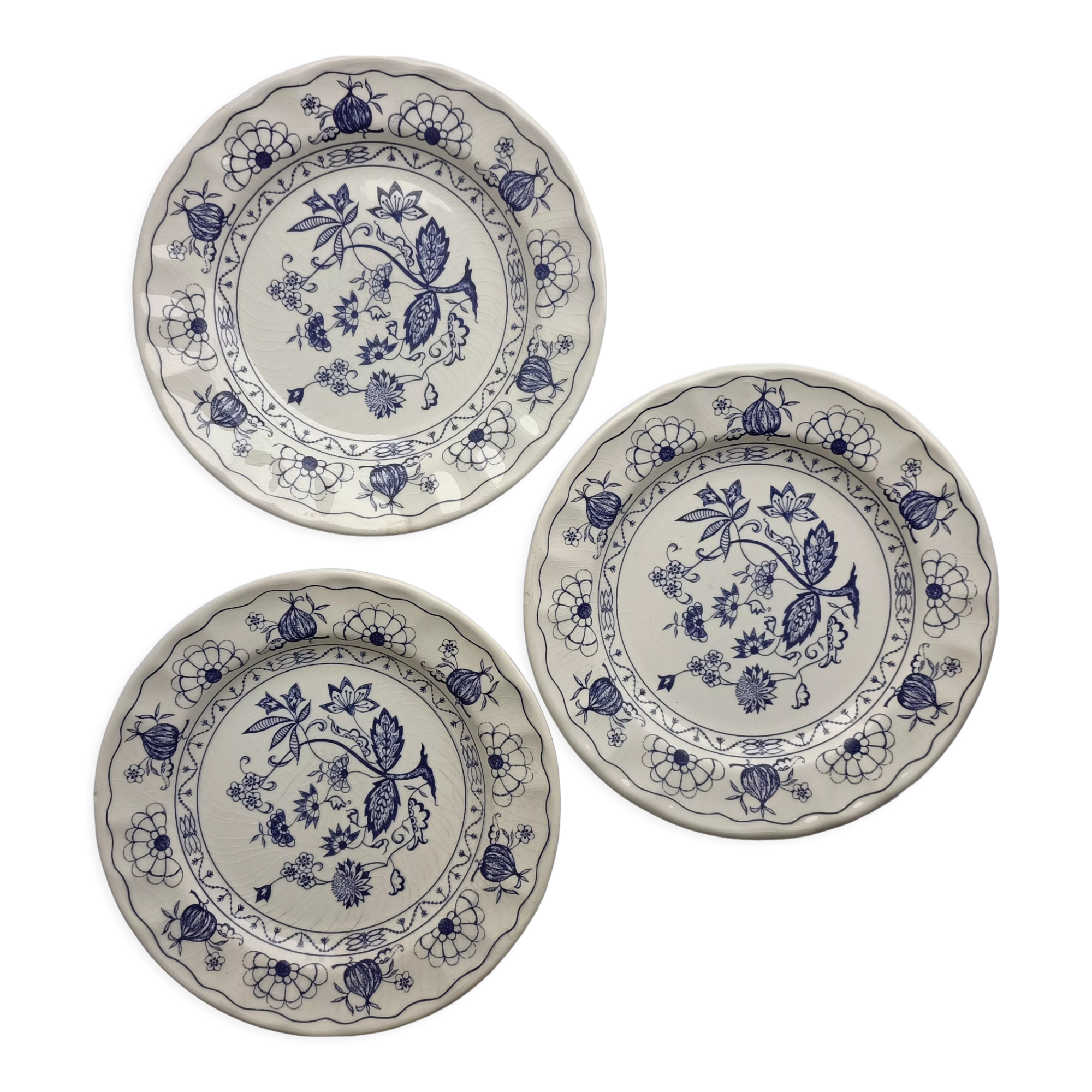 Blue porcelain onion plates