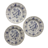 Blue porcelain onion plates