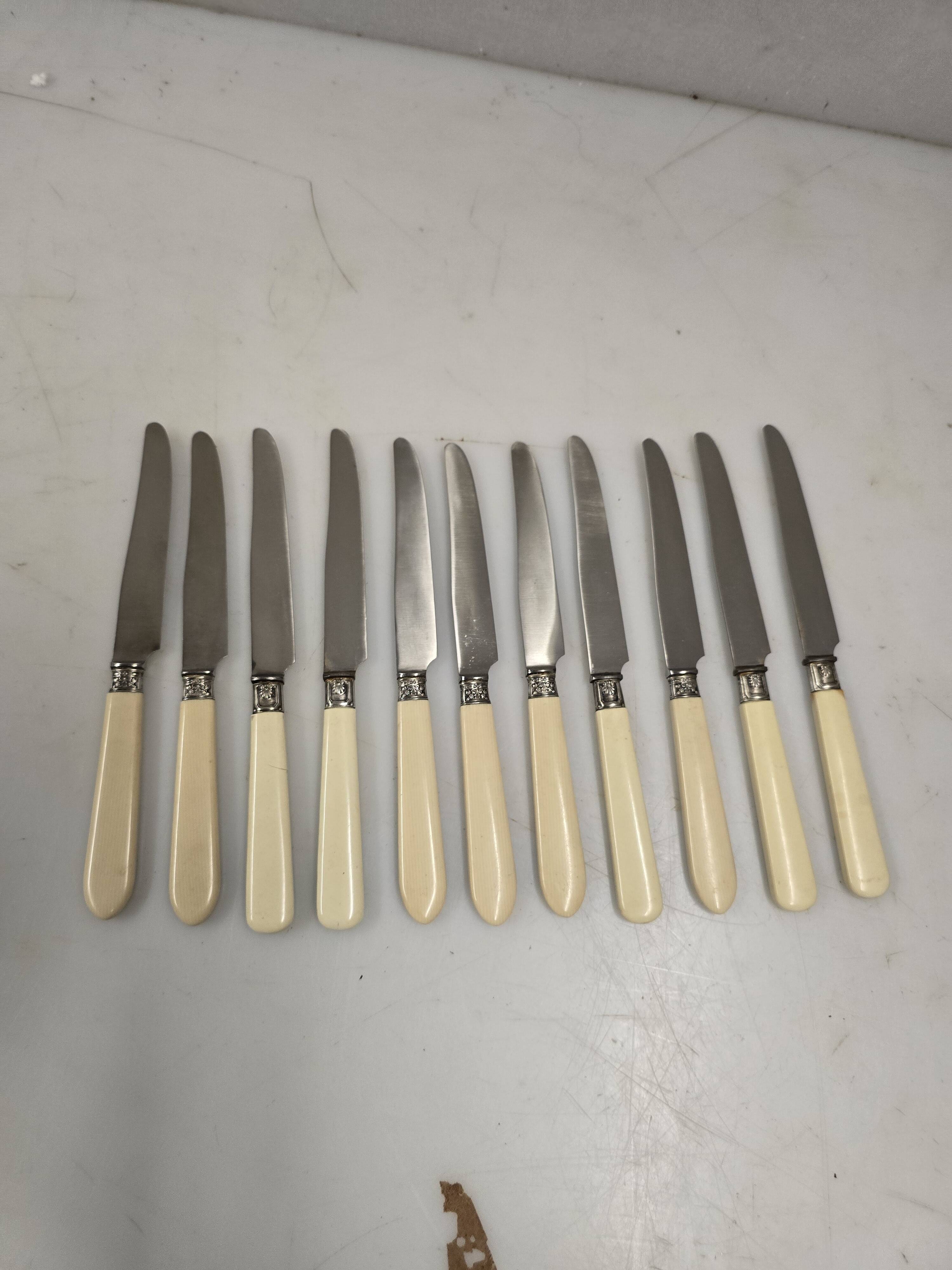 11 ivory knives