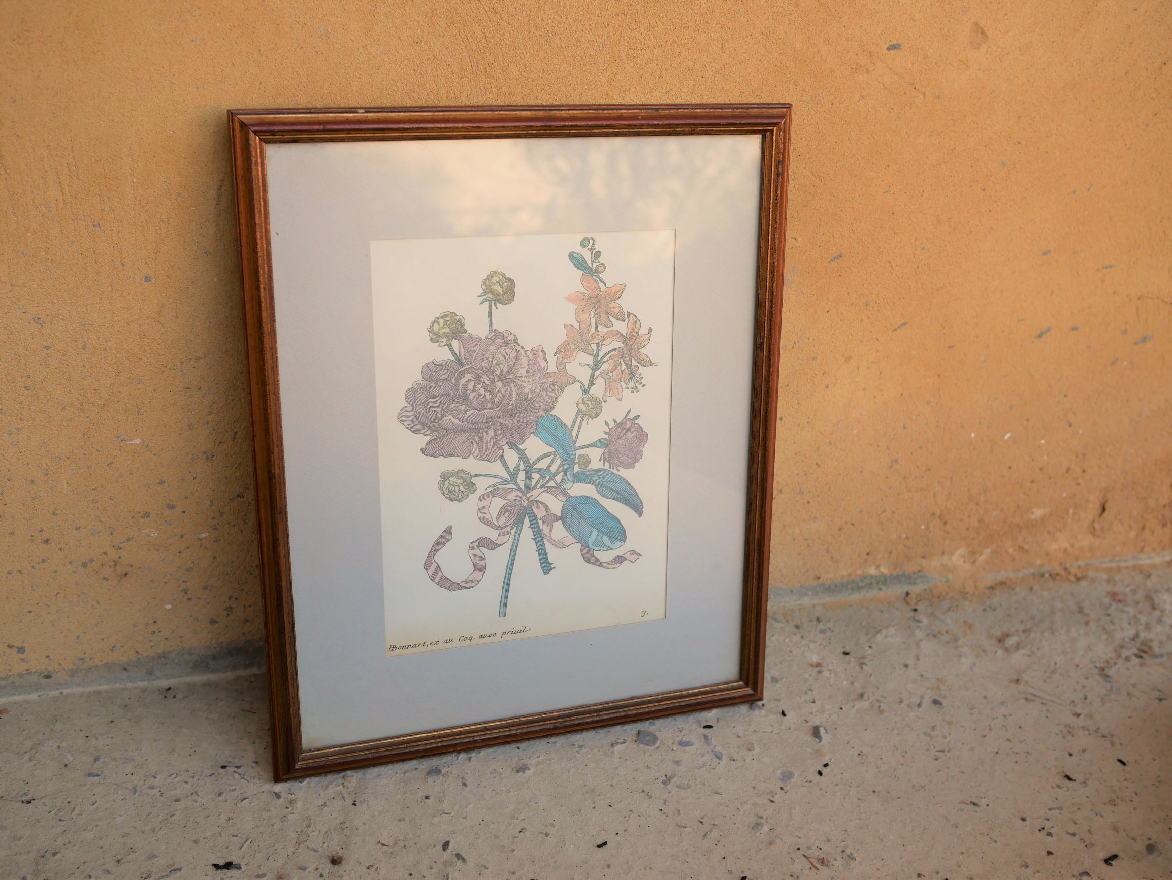 Vintage botanical poster