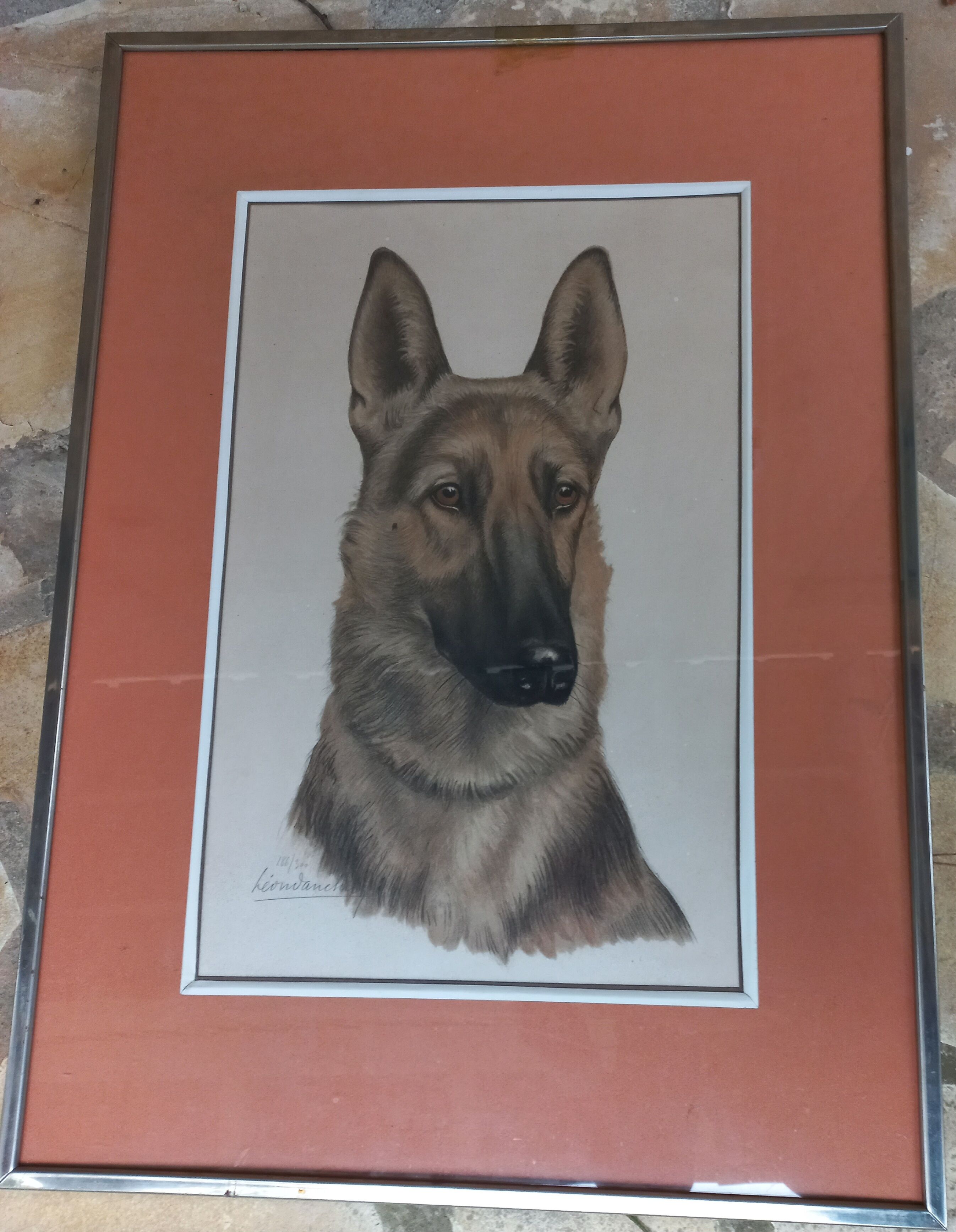 Léon DANCHIN (1887-1938) : GERMAN SHEPHERD Numbered and Signed Lithograph