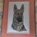 Léon DANCHIN (1887-1938) : GERMAN SHEPHERD Numbered and Signed Lithograph