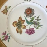Flat plates lourioux foecy