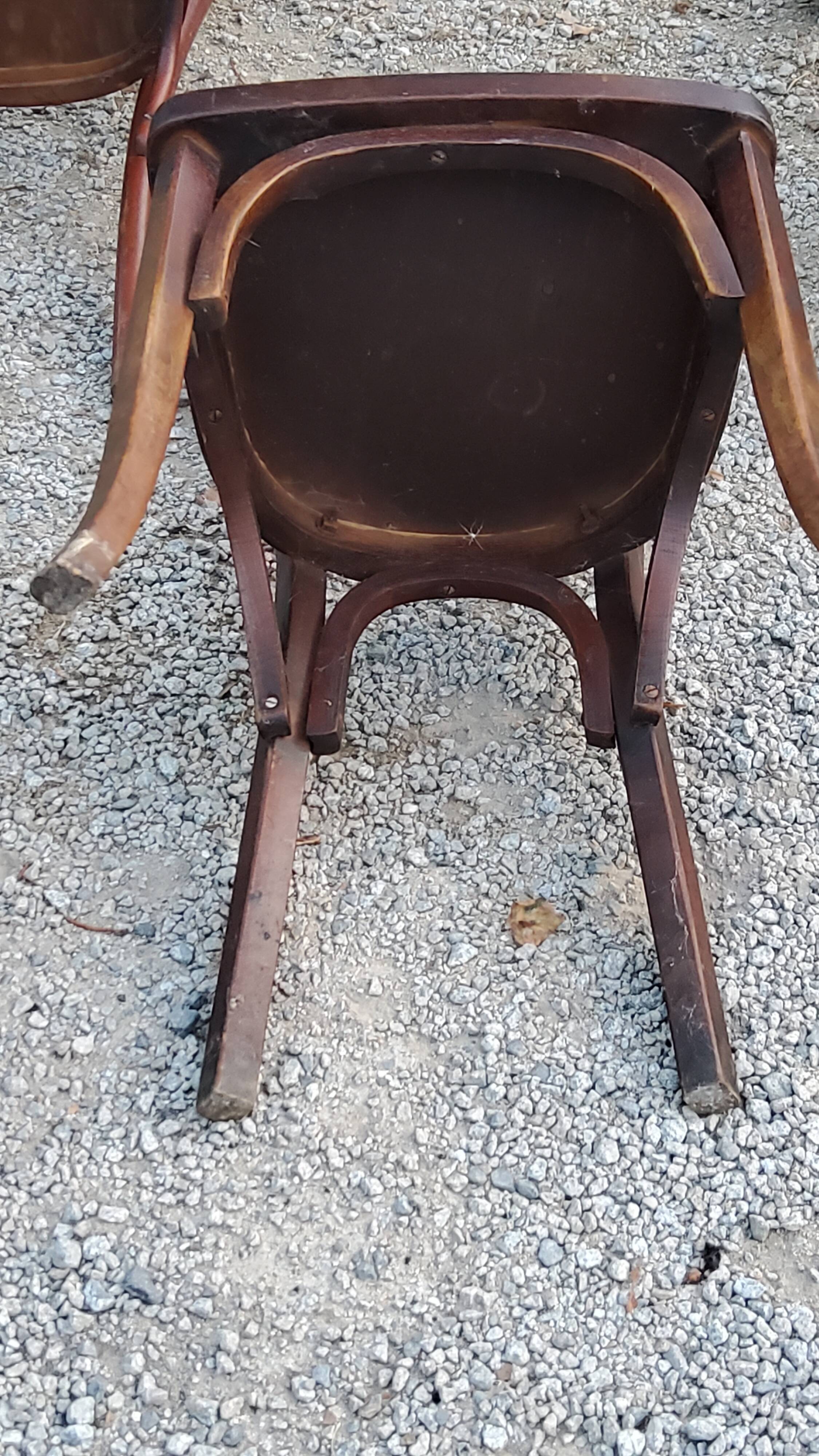 Set of 5 Stella Thonet bistro chairs from the 1950s