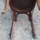 Set of 5 Stella Thonet bistro chairs from the 1950s