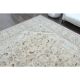 1970s Vintage Persian Handmade Wool Cotton Light Brown Area Rug 302x394
