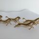 6 golden knife holder