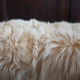 Animal skin