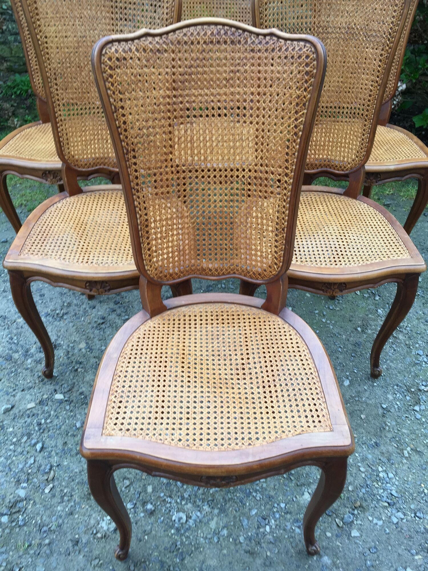 Vintage regency cherry chairs with canned backrests and seats