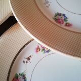 6 earthenware plates by Salins