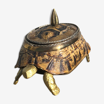 Turtle Storage Box by Anthony Redmile