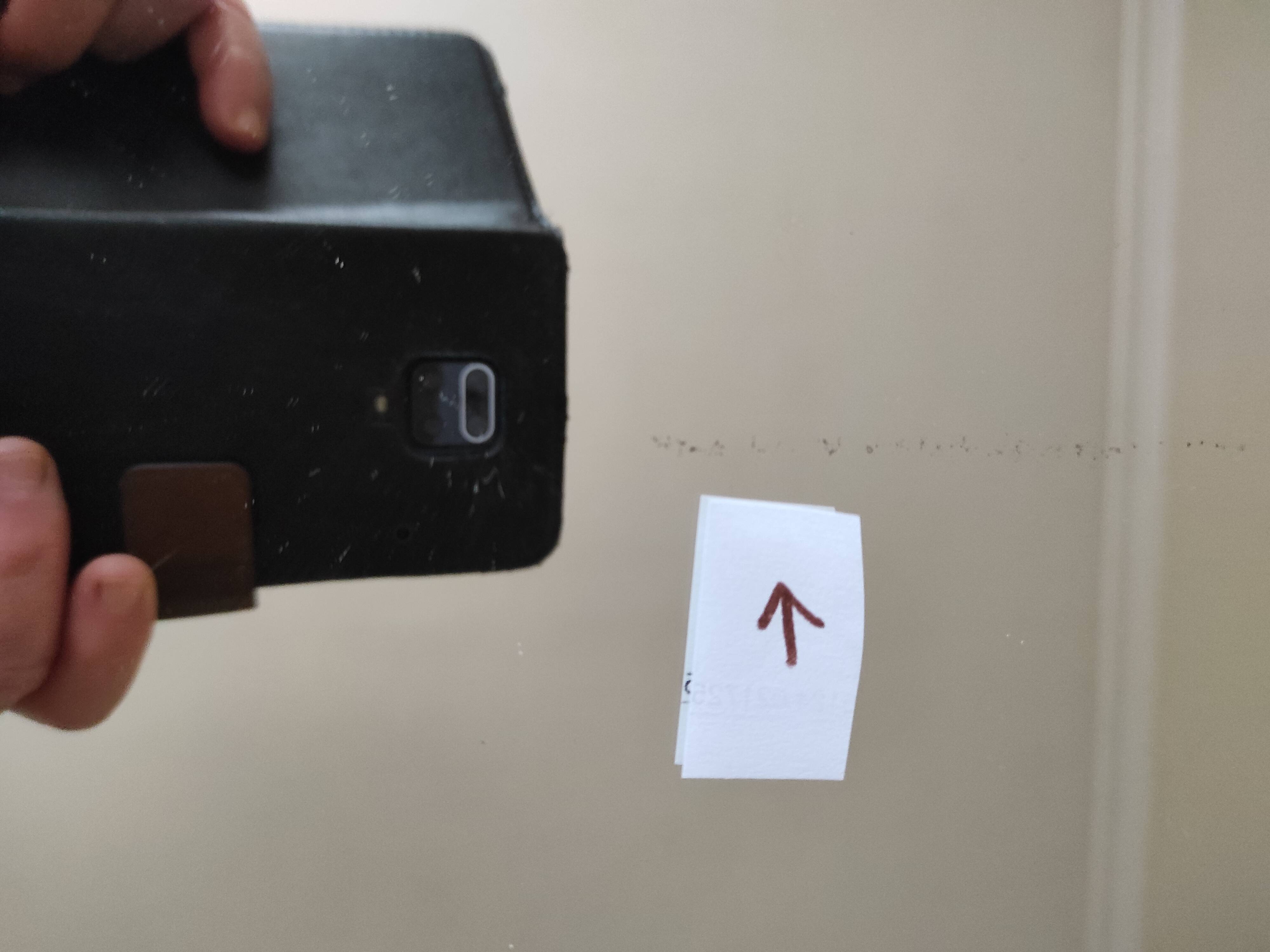 Antique mirror with roses