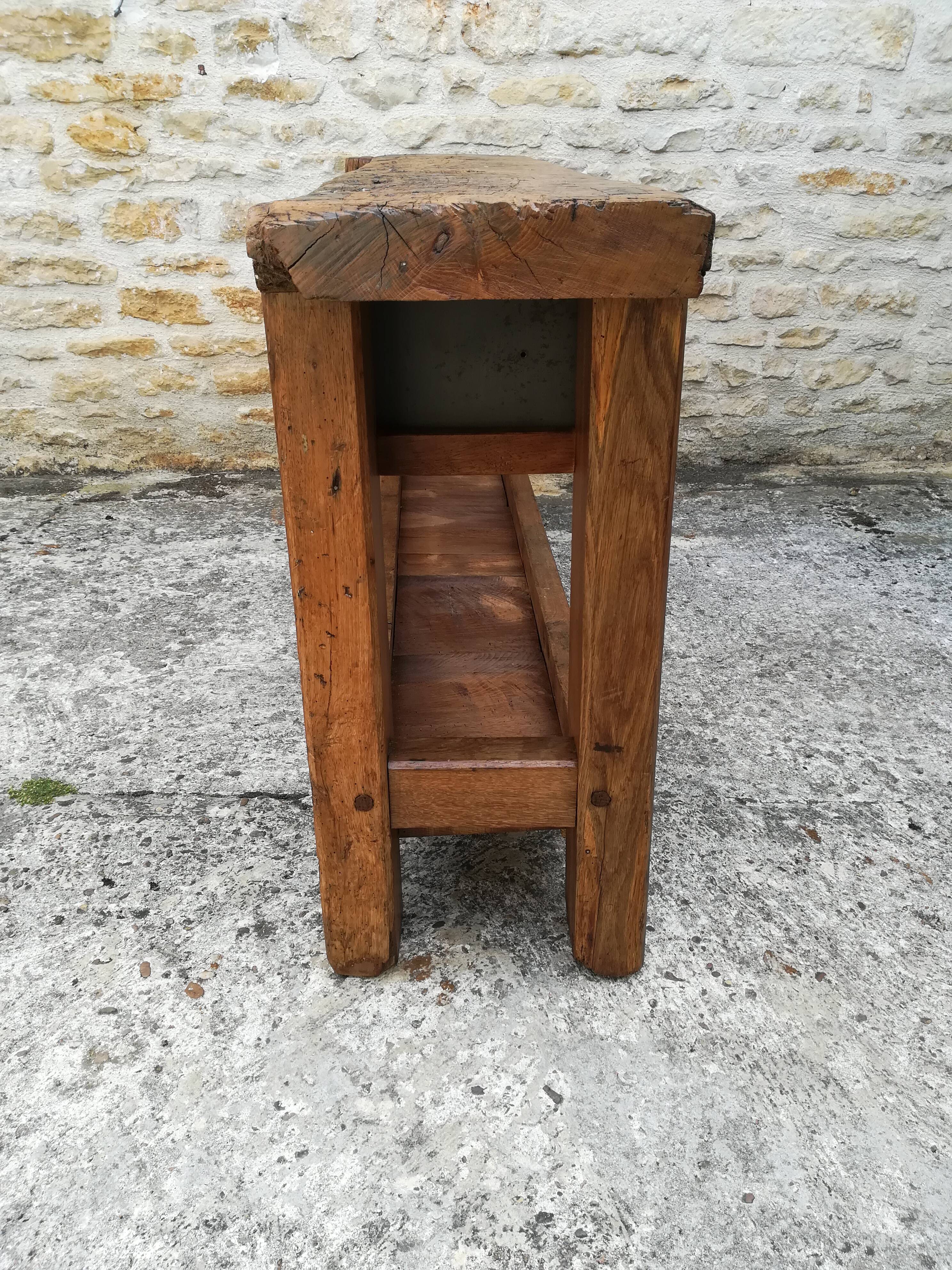 Established in elm and oak