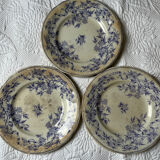 U&G Sarguemines Épine plates