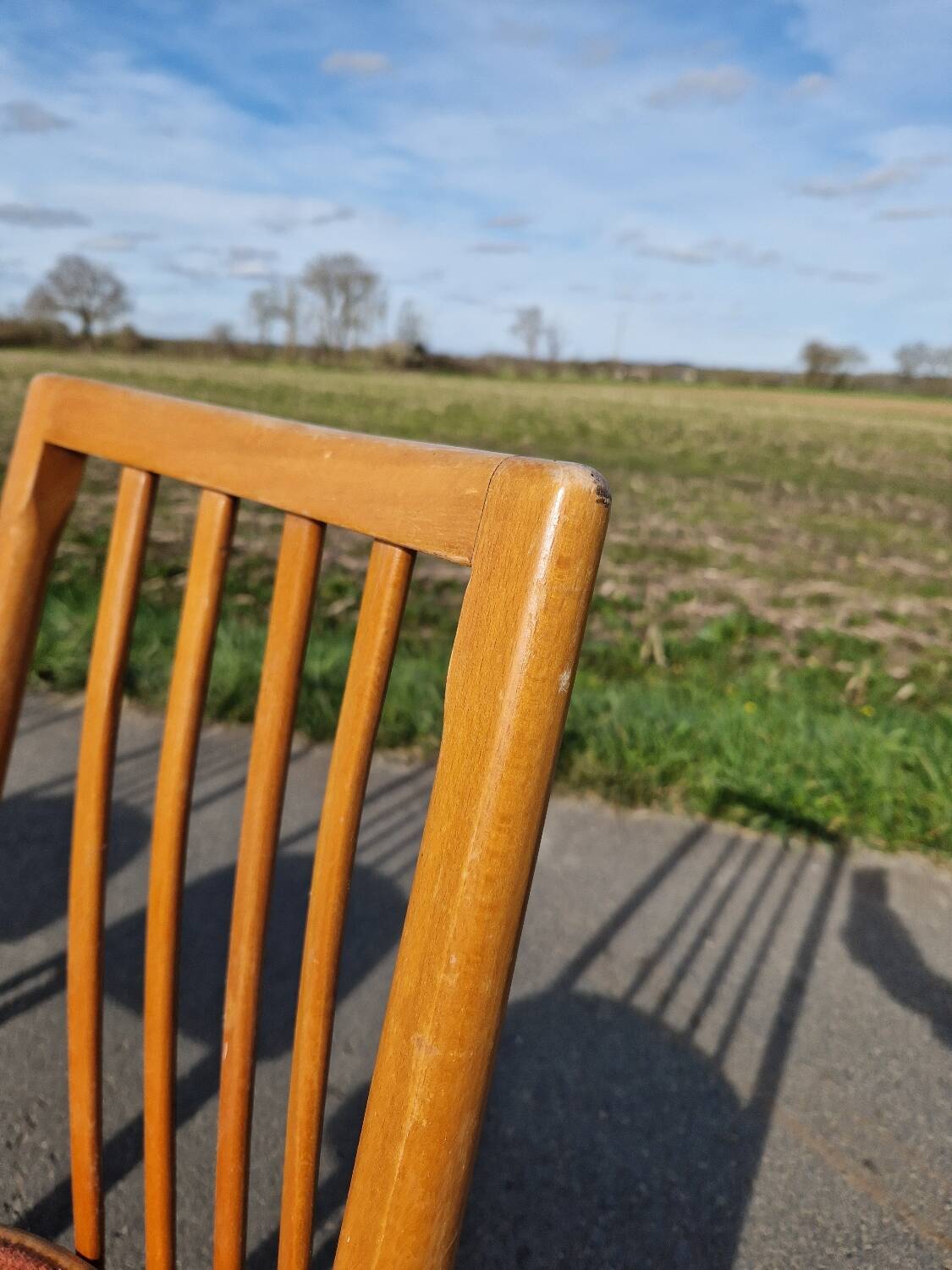 Lot de 4 chaises d'Antoine Suman