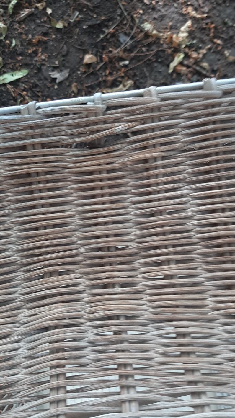 Iron and wicker bird cage