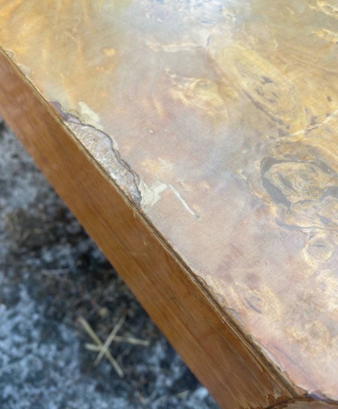 Table basse loupe d'orme de willy rizzo 1970