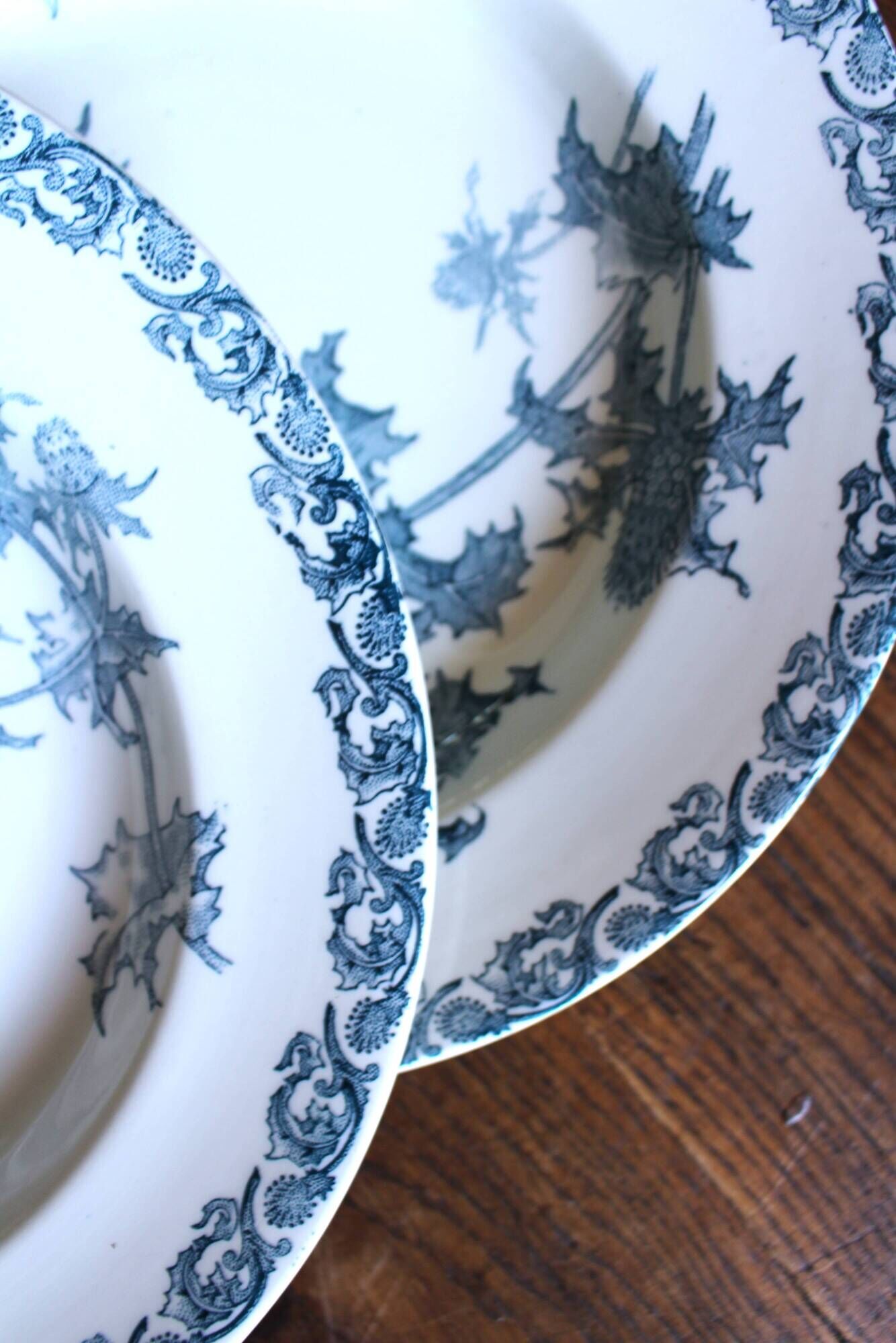 A set of 5 deep plates Chardon Bleu Terre de Fer Clairefontaine Righi