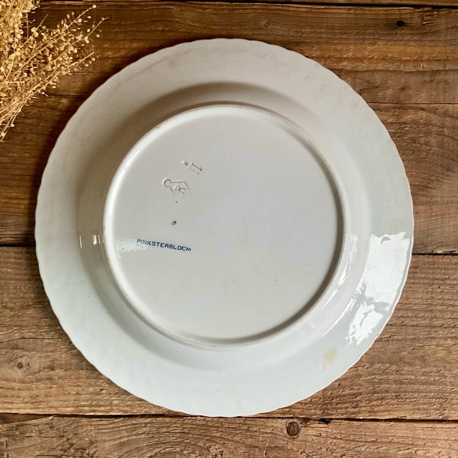 Plat Petrus Regout Pinksterbloem