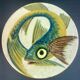 Catalan ceramic dish puigdemont fish earth enamel varnished fish
