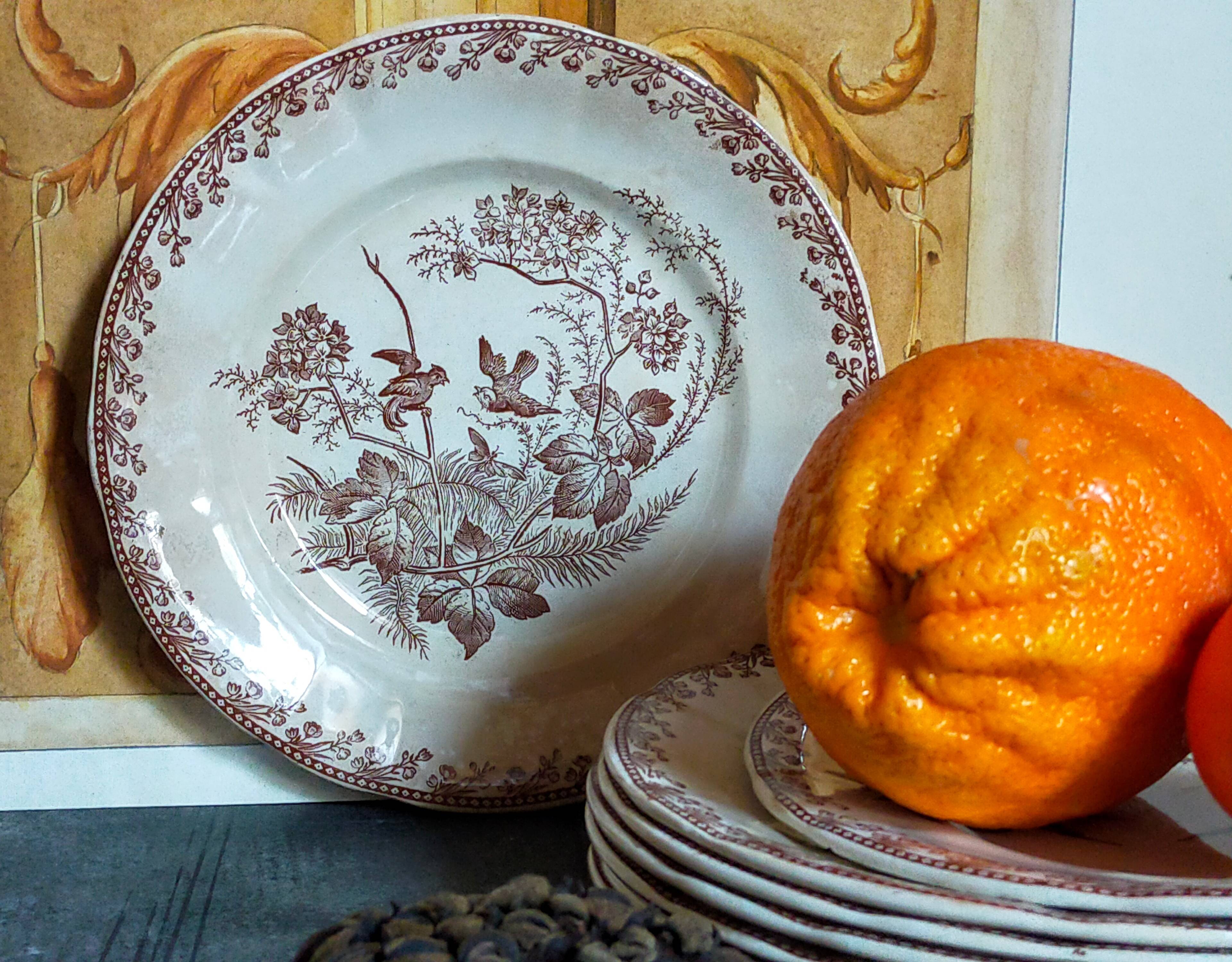 Seven iron earth dessert plates with birds ffPexonne late 19th century