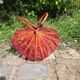 Vintage red folding basket, 70s - rattan and mesh.