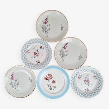 Composition of 6 earthenware dinner plates