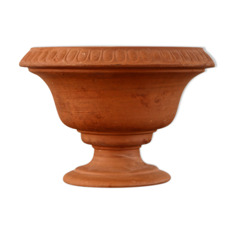 Medicis Cup in terracotta