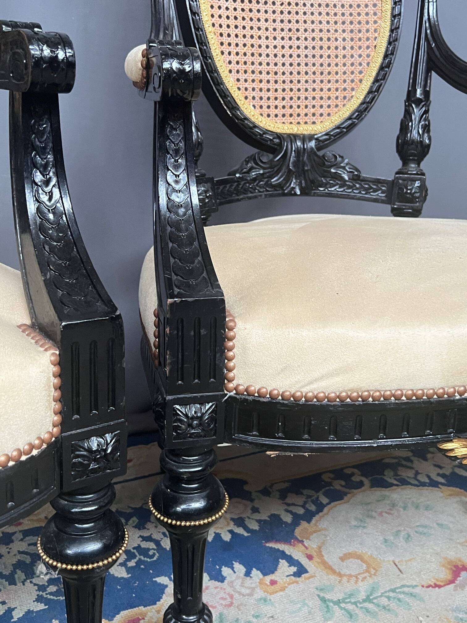 Paire de fauteuils Napoléon III.
