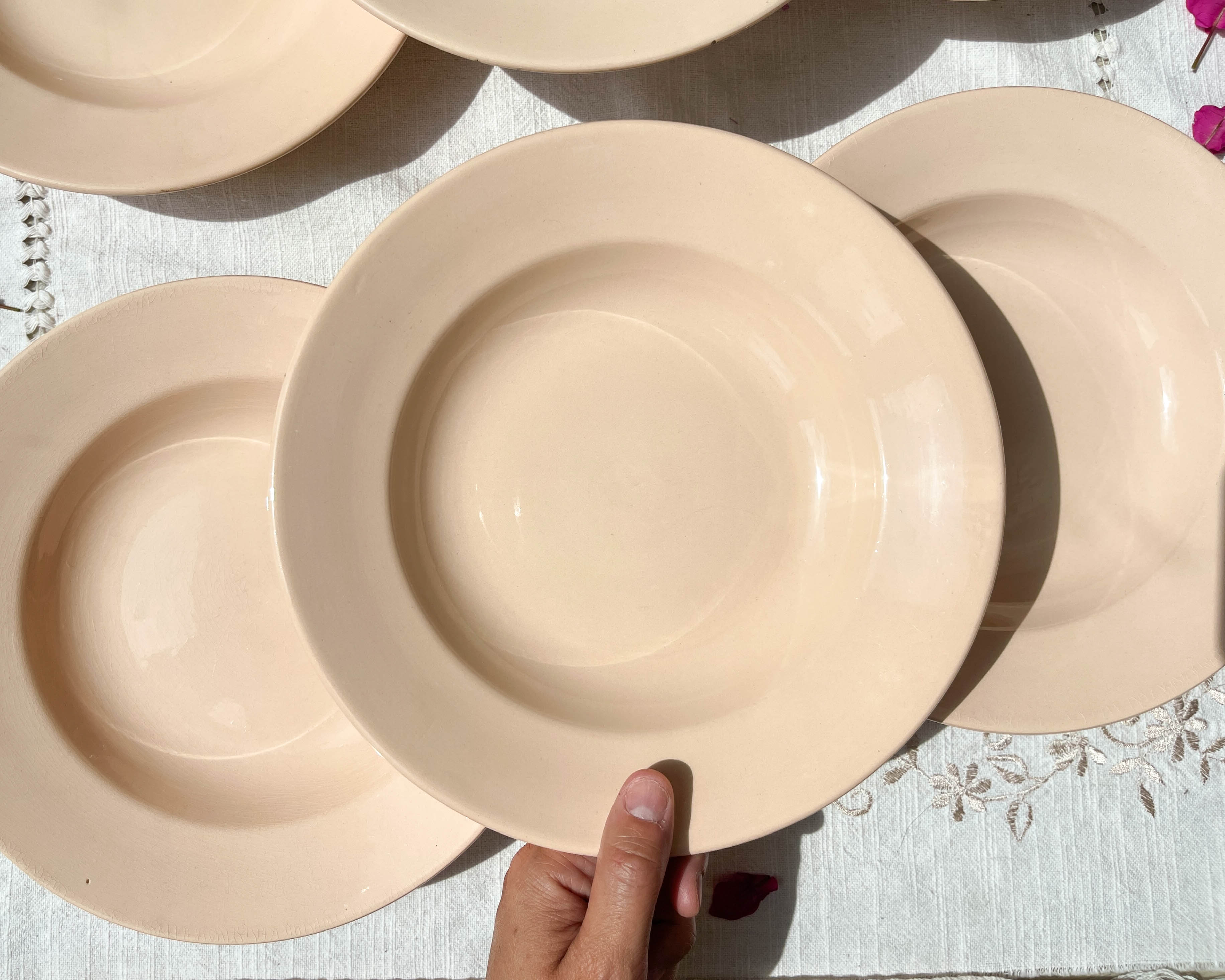 6 assiettes creuses rose digoin sarreguemines