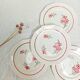 6 flat plates St-Amand Ceranord