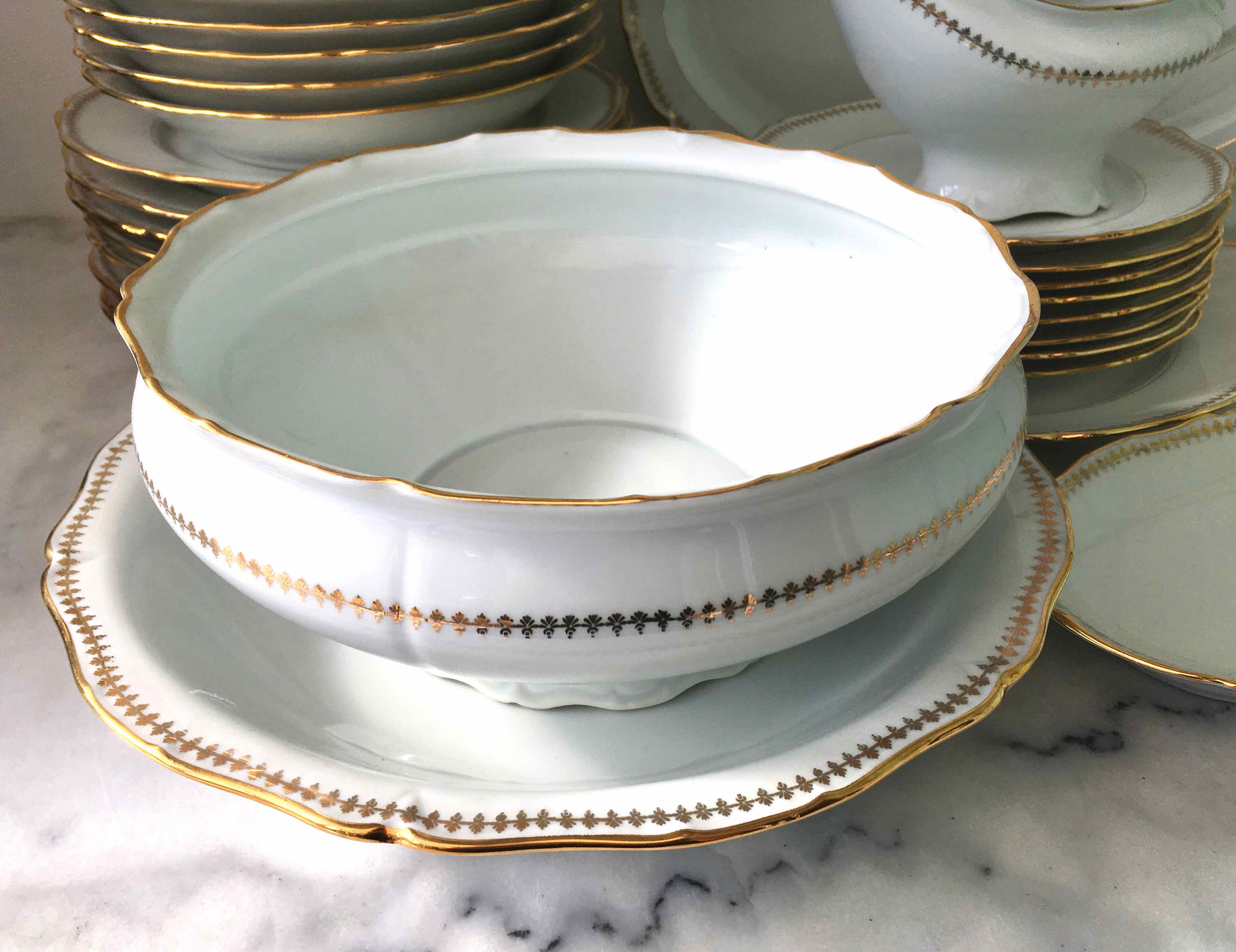 Plate service for 8 in Sologne porcelain
