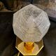 House Sciolari lamp