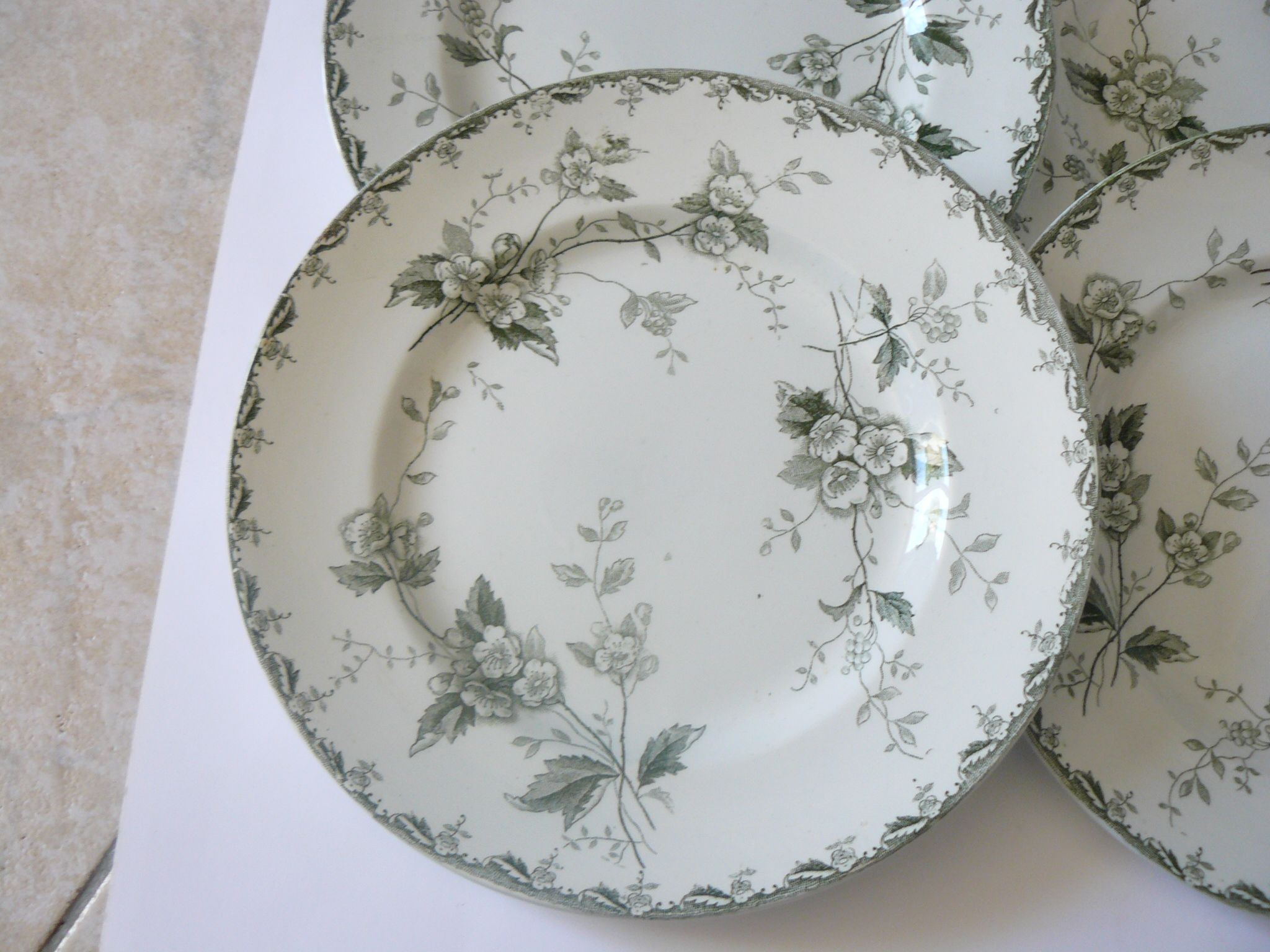 Lot of 6 plates flat model "Rosette" st Amand