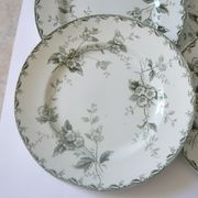 Lot of 6 plates flat model "Rosette" st Amand