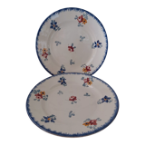 Dessert plates Sarreguemines décor Flowers of Alsace