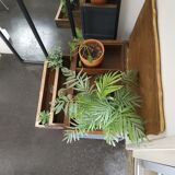 Vintage sewing baskte