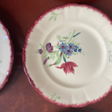 6 dessert plates decorated with field flowers