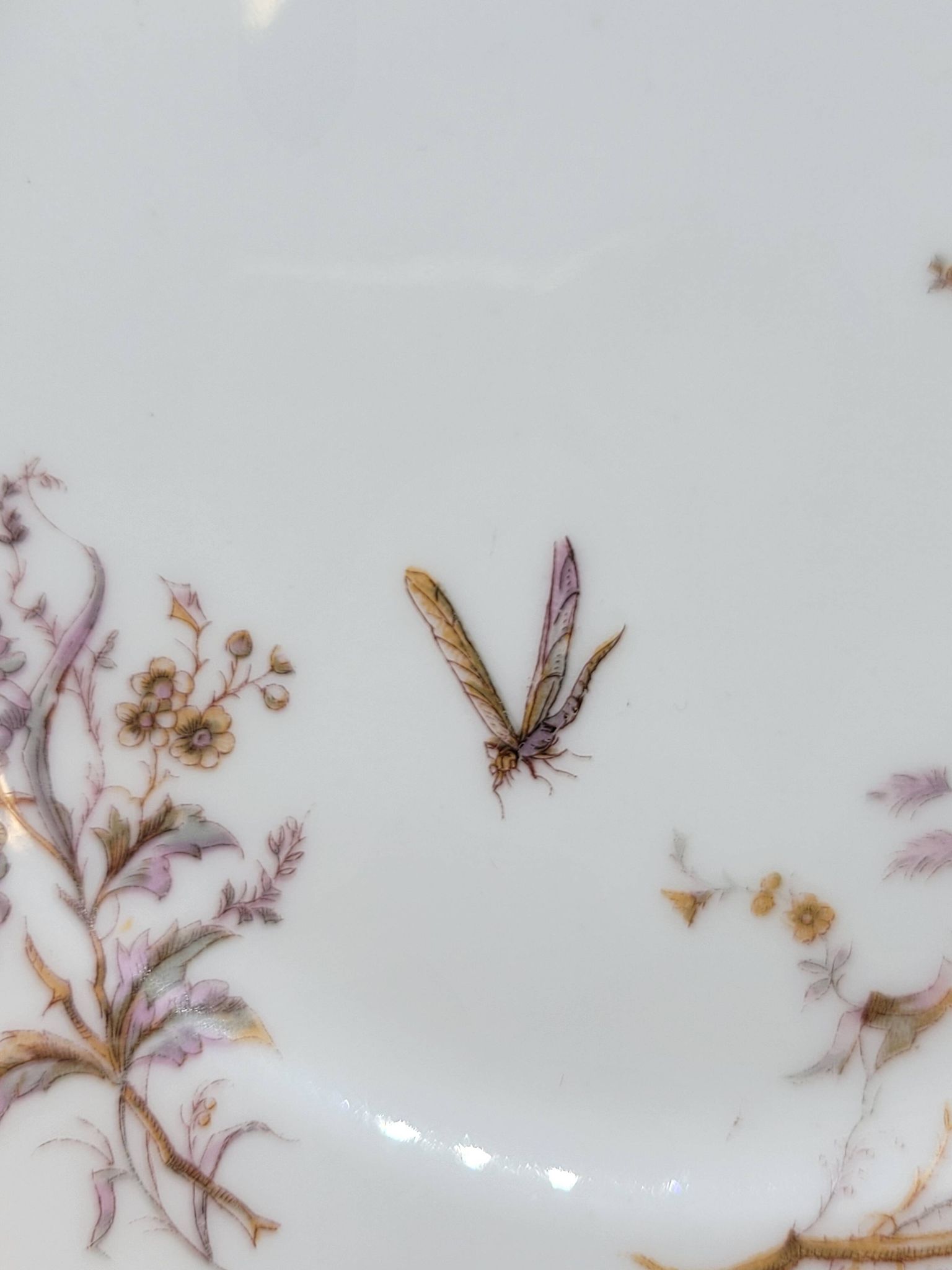 8 Superbes Assiettes Anciennes XIXème Décor Aux Oiseaux Sur Des Branches
