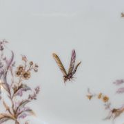 8 Superbes Assiettes Anciennes XIXème Décor Aux Oiseaux Sur Des Branches
