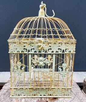 Square metal birdcage