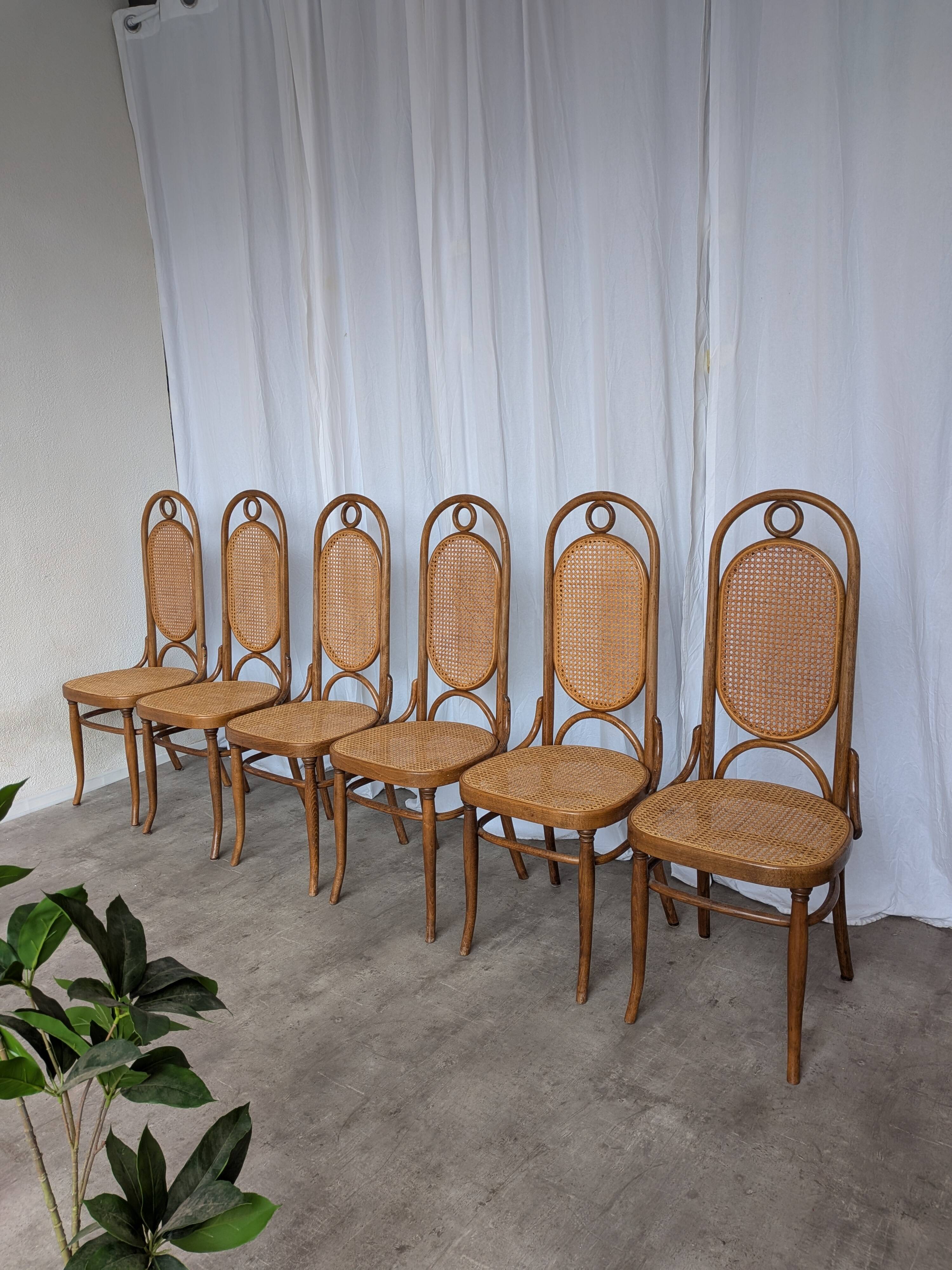 Set of 6 Vintage Bentwood Cane Dining Chair, Thonet Style, 1970s Yugoslavia