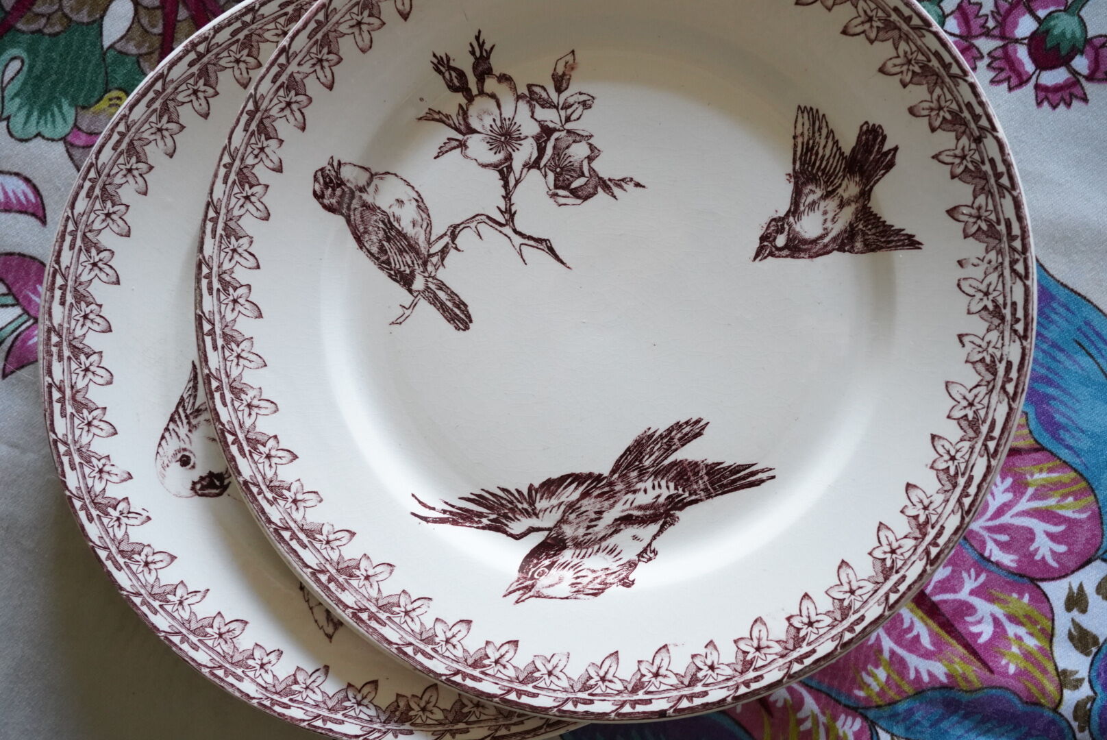 2 Old Dessert Plates "Buffon", iron earth, Sarreguemines