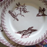 2 Old Dessert Plates "Buffon", iron earth, Sarreguemines