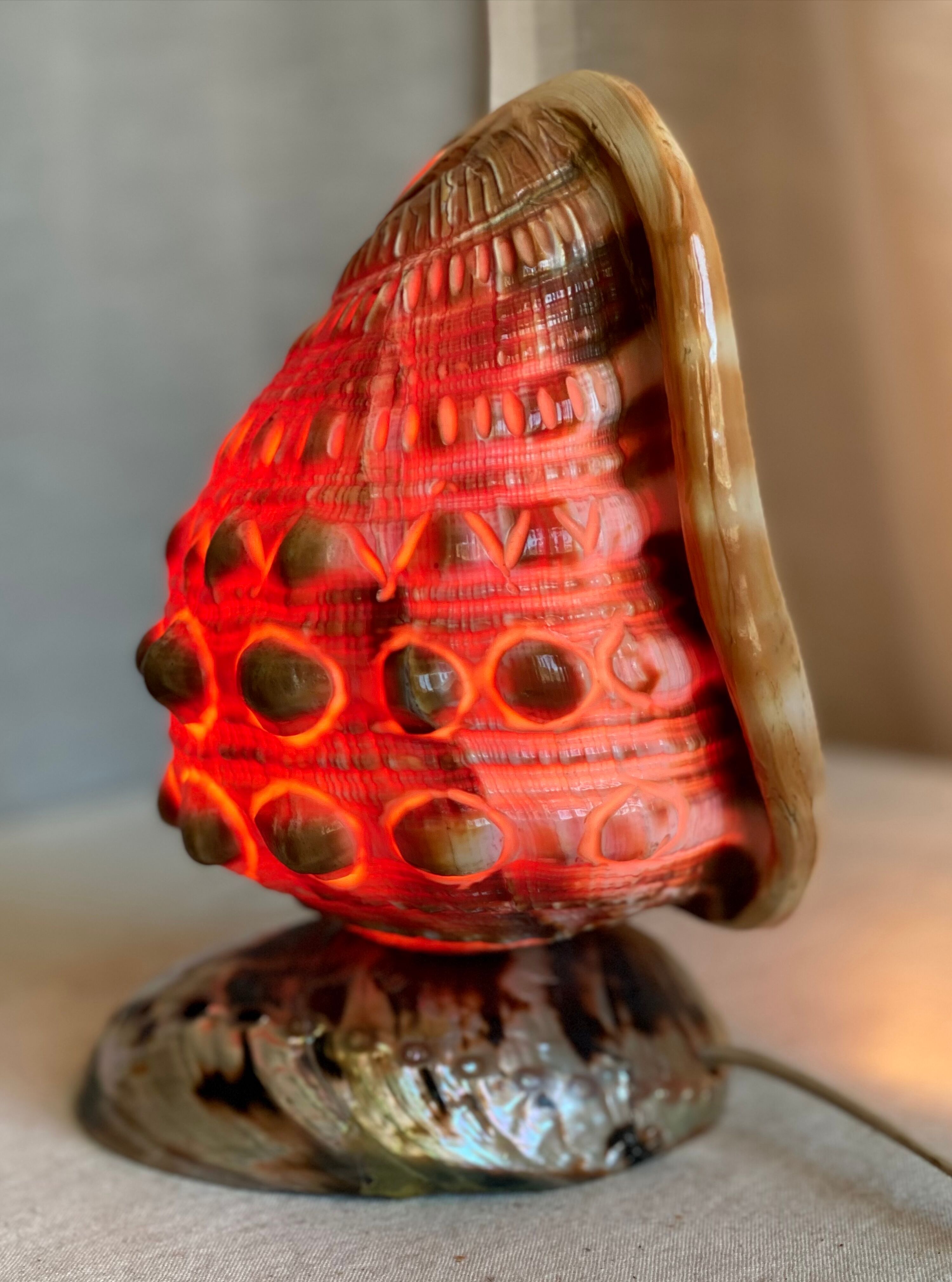 Vintage 1960s shell night light