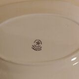 Dish